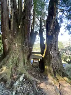 萩日吉神社(埼玉県)