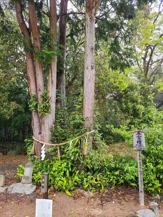 鏡神社(佐賀県)