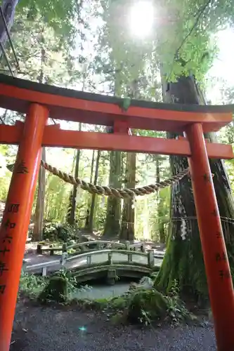 金櫻神社(山梨県)