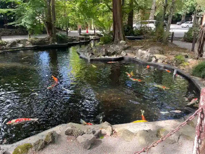 伊豆山神社(静岡県)