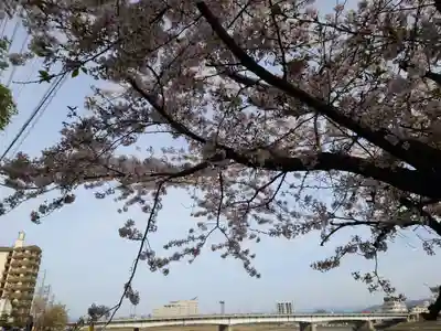 岐阜護國神社(岐阜県)