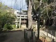 御霊神社（上御霊神社）(京都府)