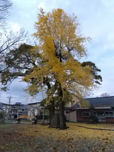 天満神社(福井県)