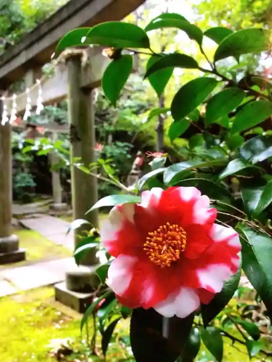 赤坂氷川神社(東京都)