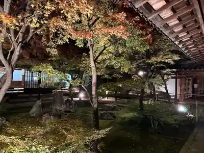 建仁寺（建仁禅寺）(京都府)