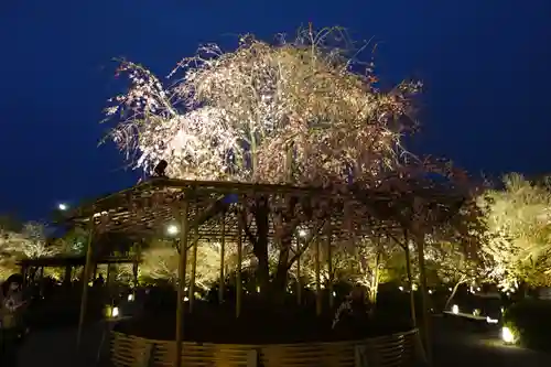 東寺（教王護国寺）(京都府)