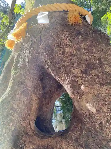 笠森寺の{uncategorized: "未分類", other: "その他", undefined: "問題あり", building: "その他建物", grave: "お墓", sacred_gate: "鳥居", guardian: "狛犬", statue: "像", buddha: "仏像", history: "歴史", nature: "自然", garden: "庭園", animal: "動物", pagoda: "塔", temizu: "手水舎", mountain_gate: "山門・神門", sanctuary: "本殿・本堂", subordinate: "末社・摂社", art: "芸術", scenery: "景色", jizo: "地蔵", ema: "絵馬", goshuin: "御朱印", omikuji: "おみくじ", items: "授与品その他", amulet: "お守り", goshuincho: "御朱印帳", eats: "食事", festival: "お祭り", votive_dance: "神楽", shichigosan: "七五三参", wedding: "結婚式", experience: "体験その他", initially: "初詣", around: "周辺", anti_infection: "感染症対策"}