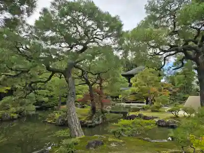 慈照寺（慈照禅寺・銀閣寺）(京都府)
