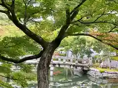 禅林寺（永観堂）(京都府)