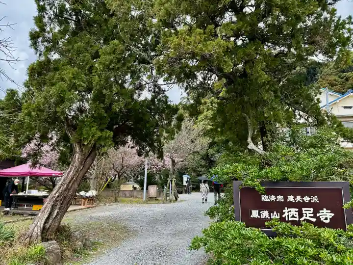 かっぱの寺 栖足寺(静岡県)
