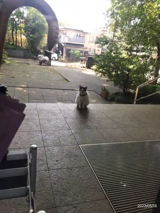 法蓮寺(東京都)
