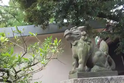 川口神社の狛犬
