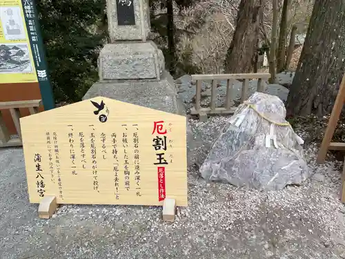 蒲生八幡神社のその他建物