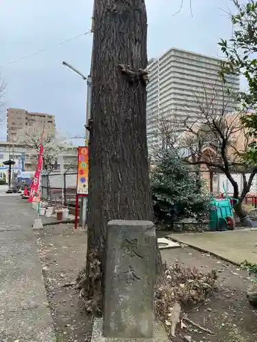 磐井神社の自然