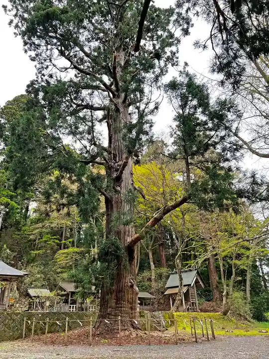 配志和神社(岩手県)