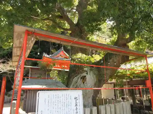 金剛宝寺（紀三井寺）のその他建物