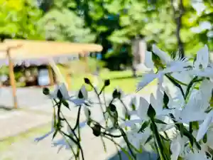 土津神社|こどもと出世の神さまのその他建物(2022年08月11日(木) 12時31分38秒投稿)