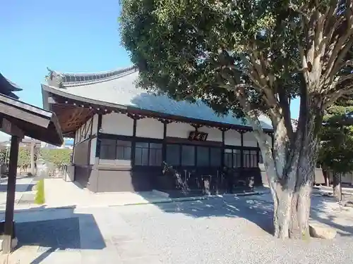 清泰寺の本殿・本堂