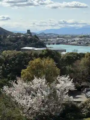 成田山名古屋別院大聖寺(犬山成田山)(愛知県)