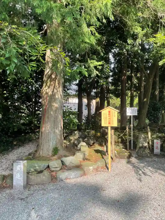 新橋浅間神社の自然