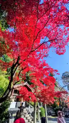 光明寺（粟生光明寺）(京都府)