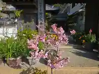 毘沙門寺(和歌山県)