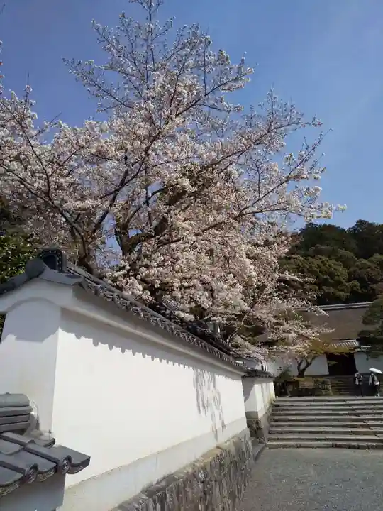 南禅寺(京都府)