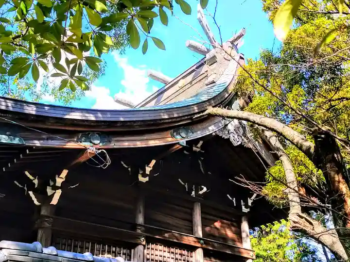 津島社の本殿・本堂