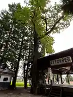 一本木神社(長野県)