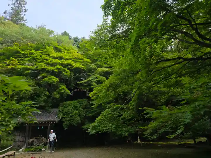 金蔵寺(京都府)