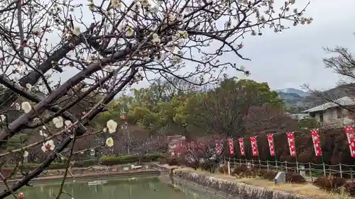 長岡天満宮(京都府)