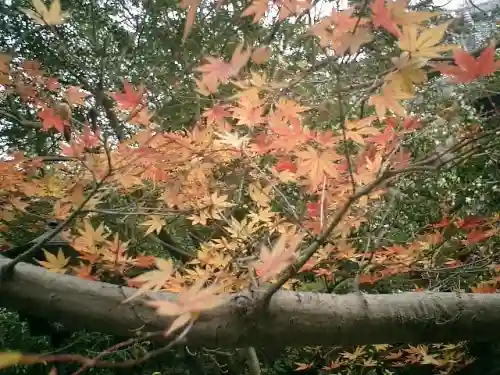 安國論寺（安国論寺）の景色