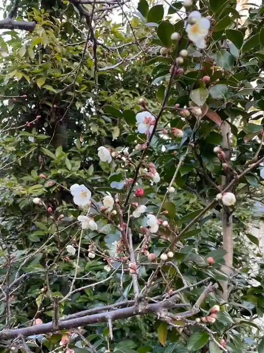 伊勢の国 四天王寺(三重県)
