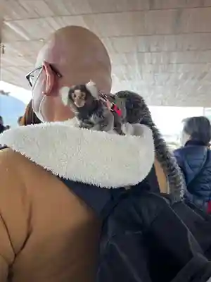 厳島神社(広島県)