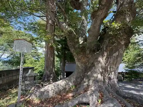 諏訪大社上社前宮(長野県)