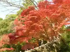 神護寺(京都府)