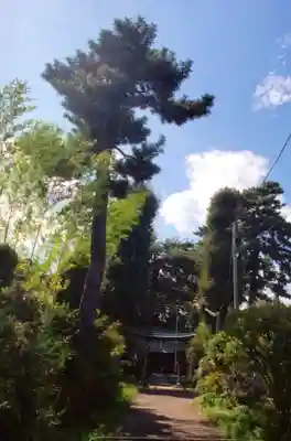 田端神社(東京都)