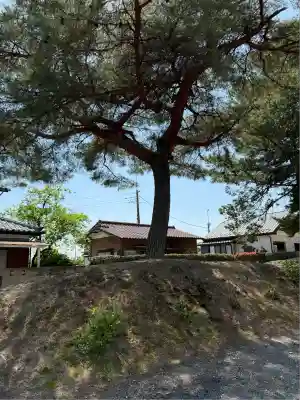 上之村神社(埼玉県)