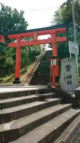 紫神社の鳥居