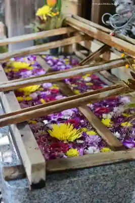 東京大神宮(東京都)