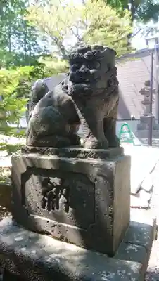 手稲神社の狛犬