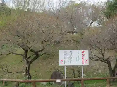 宝登山神社奥宮の自然