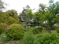 仏行寺(佛行寺)の庭園