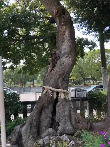 水堂須佐男神社の自然