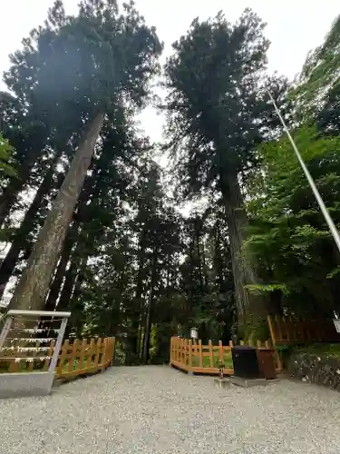 須山浅間神社(静岡県)