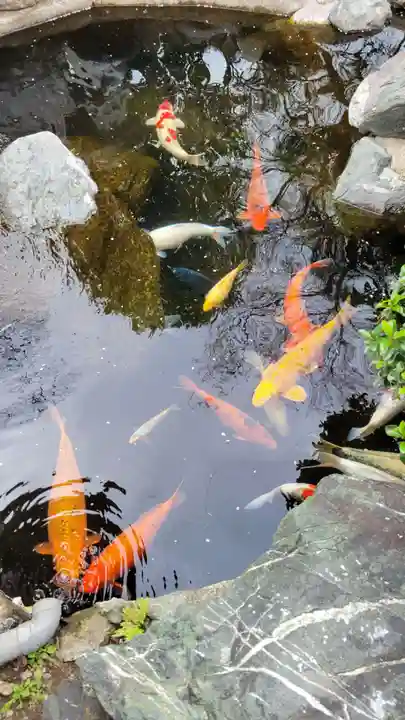 尾張猿田彦神社(愛知県)