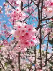 佐嘉神社／松原神社の自然