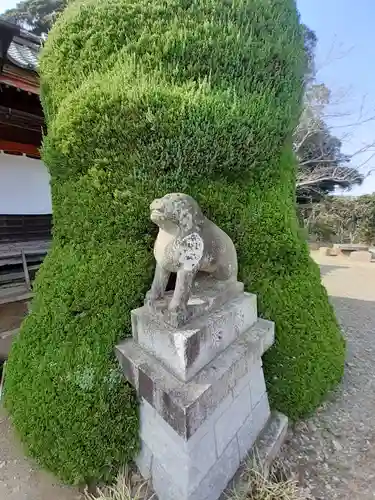 冨士浅間神社の狛犬