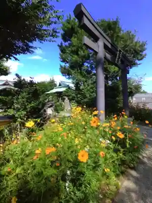 鷺宮八幡神社(東京都)