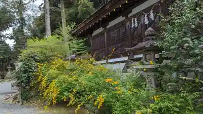 松尾大社(京都府)